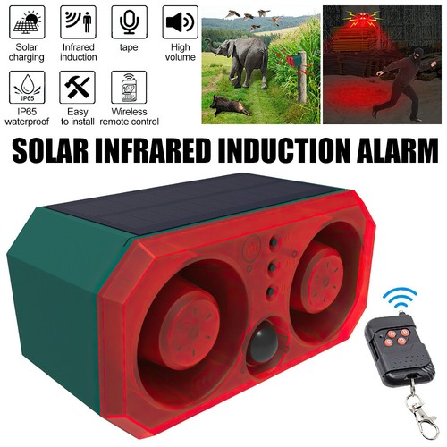 Solar animal repeller - animal, motion