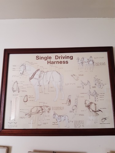 Vintage large framed - large,