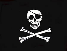 SKULL AND CROSSBONES FLAG 8 x