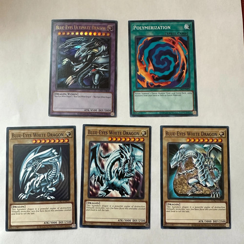 Yugioh tcg blue eyes white - yugioh,