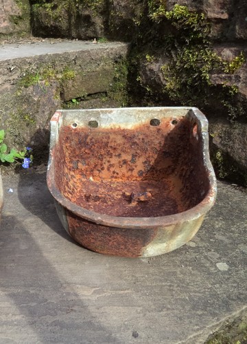Water bowl cattle - water, sheep