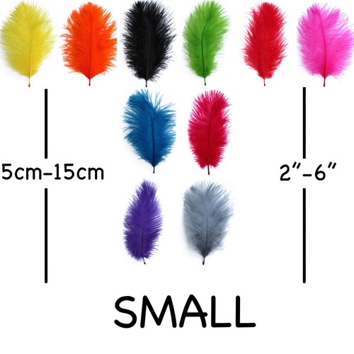 Small ostrich feathers - small, 5cm