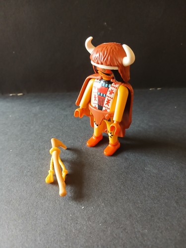 Playmobil series native - playmobil,