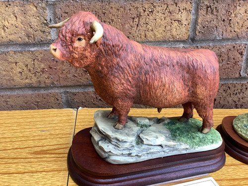 Border fine arts highland bull - highland,