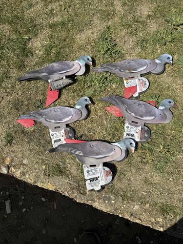 Fud pigeon decoys - fud,