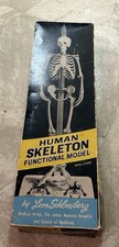 The JOHNS HOPKINS 1960 Human Skeleton Functional Model by Leon Schlossberg