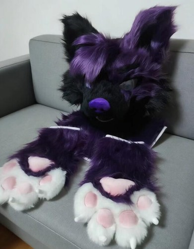 Fursuit long haired dog fox - fursuit,