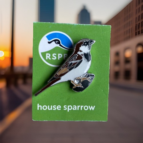 Rspb pin badge - pin, house