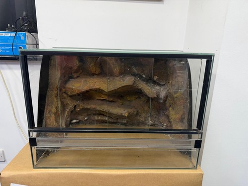 Used glass reptile terrarium - used,