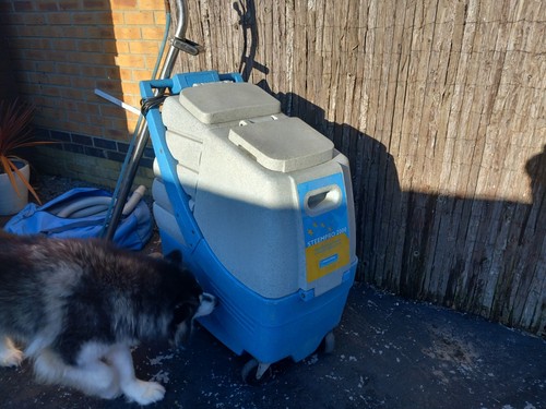 Carpet cleaning machine - carpet,