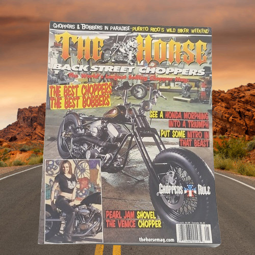 The horse back street choppers - horse,
