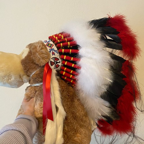 Native american style full - native,