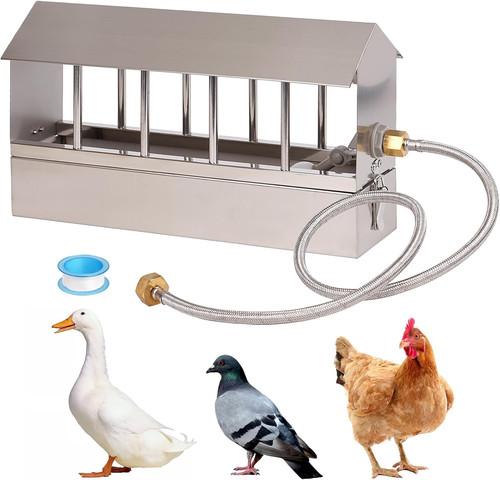Automatic chicken waterer - chicken,