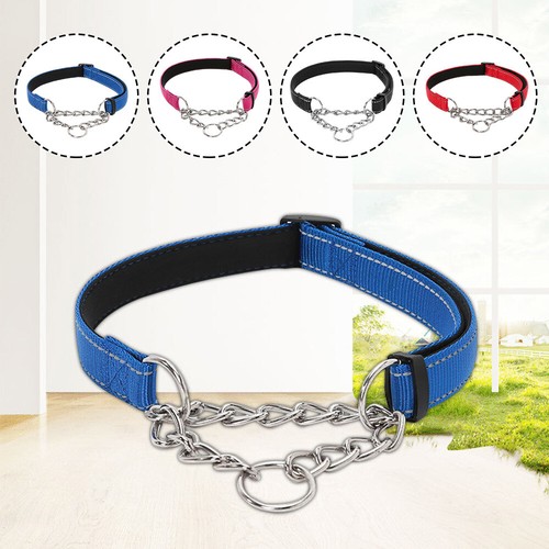 Reflective martingale dog - martingale,