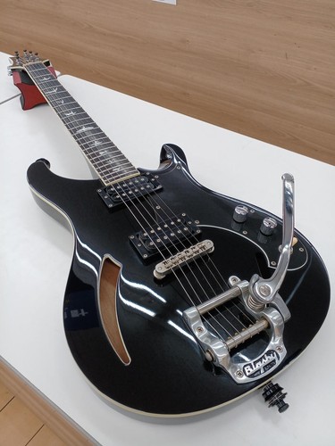 Prs custom 22 semi hollow - se, semi-hollow