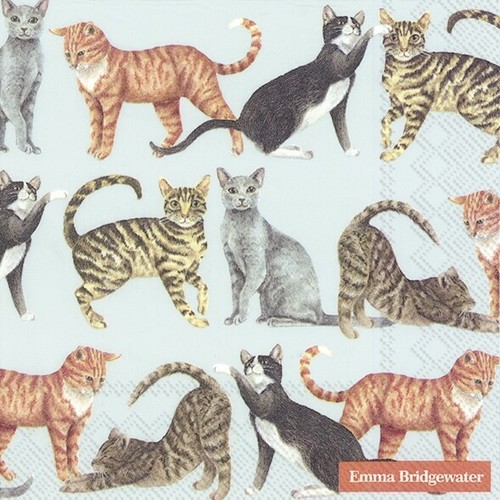 Single paper napkins 3 - x,