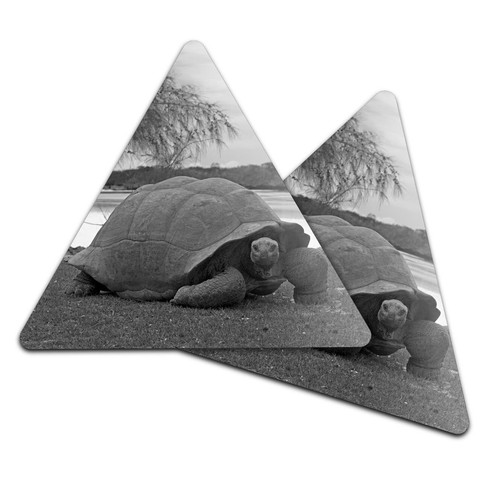 Triangle coaster bw - triangle,