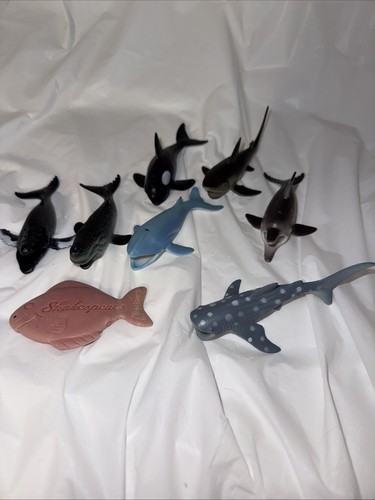 Lot eight sea - lot,