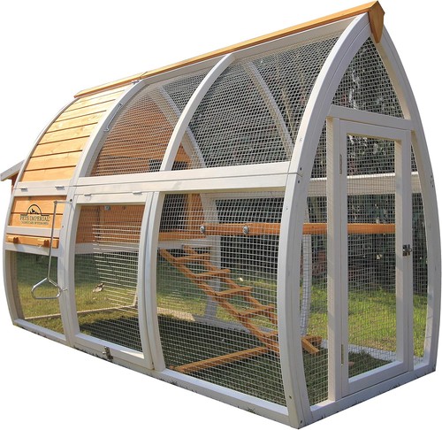 Large dorchester ark - dorchester,