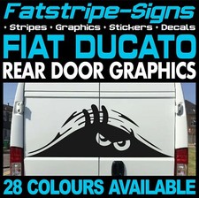 fits Fiat Ducato Graphics