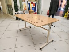 Horn Furniture Sewers Vision