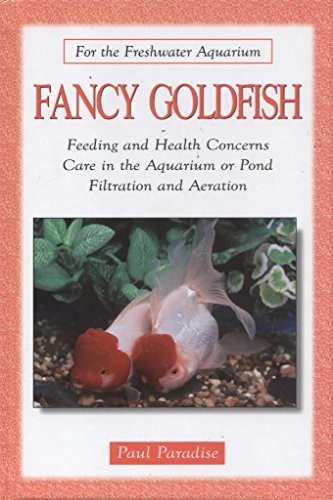 Fancy goldfish for the - goldfish, (for