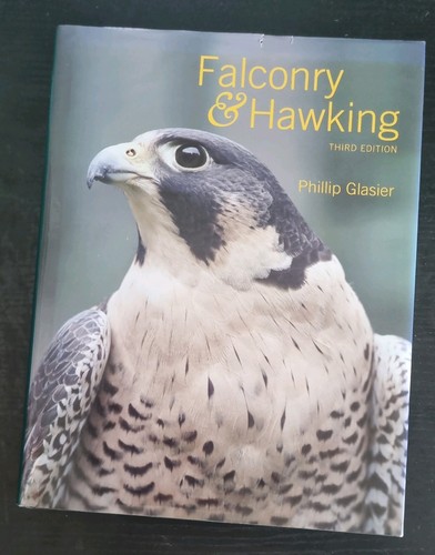 Falconry and hawking - falconry,