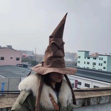 Wizard Sorting Hat Witch