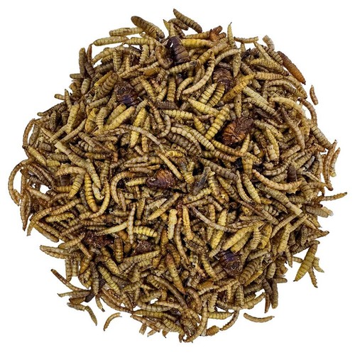 Kennedy wild ultimate dried - wild,