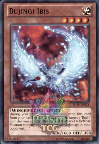 Bujingi ibis shsp en024 - bujingi,