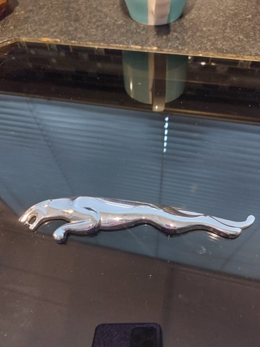 Jaguar boot badge - jaguar,