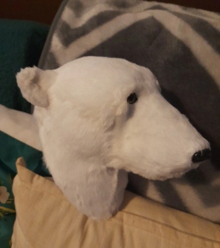 Fake taxidermy polarbear - fake, head