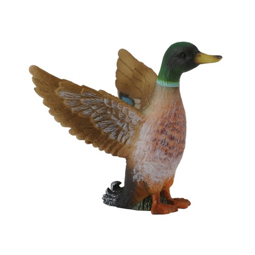 Collecta mallard duck - mallard,