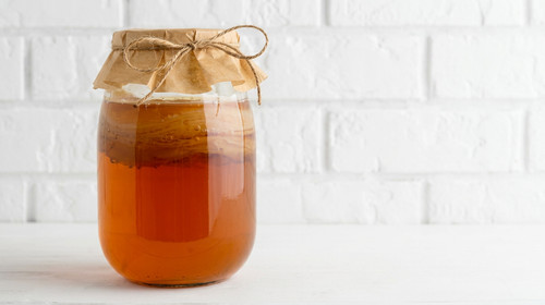 Large kombucha scoby with - large,