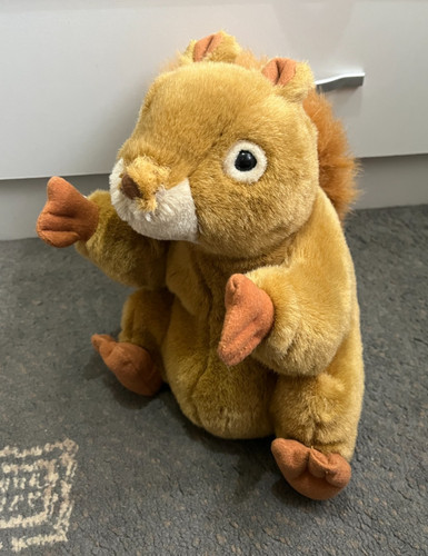 Chosun submitselect squirrel - submitselect,