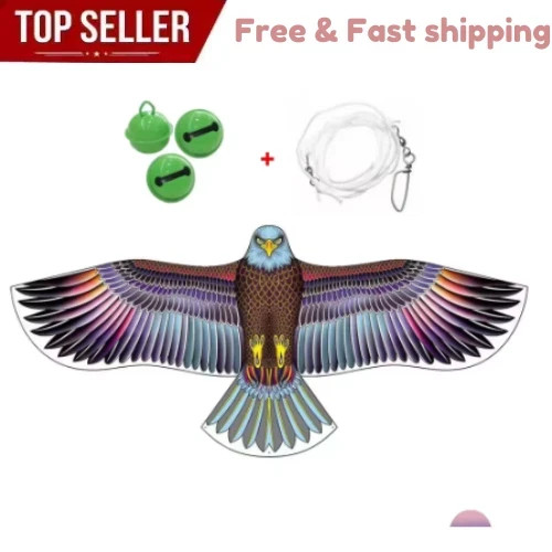 Anti bird flying - flying, hawk