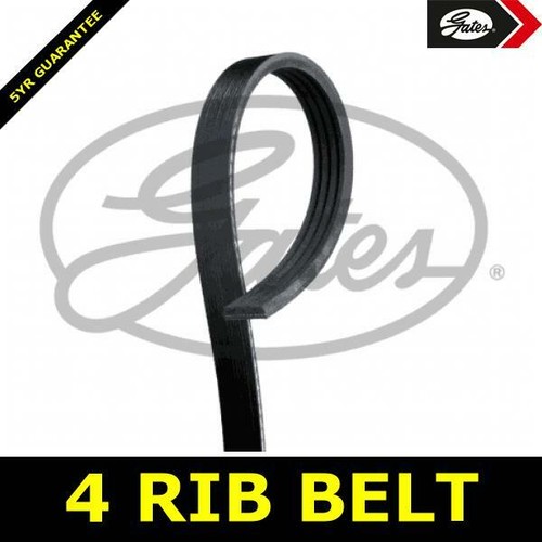 Power steering belt - power, for