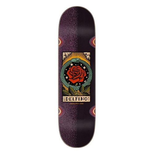 Santa cruz pro delfino - santa,