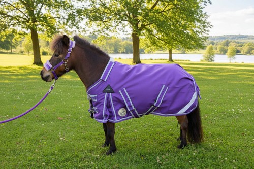 Ruggles 50g turnout rug for - 50g,