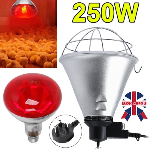 Infrared heat lamp poultry - infrared,