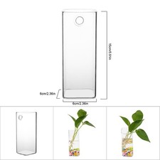 ›Hanging Plants Flowers