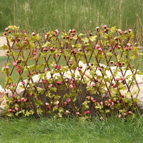Garden screening trellis - garden,
