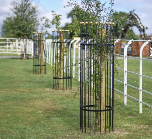 Titan tree guards - guards, gold