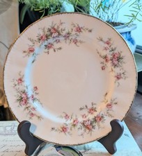 Vintage Paragon Victorian Rose 8" Plate – Multicoloured Floral – Great Condition