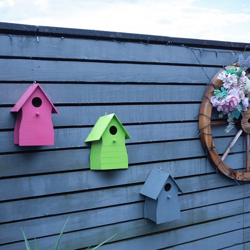 Set colourful wooden - of, bird