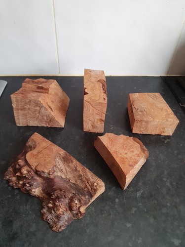 Offcuts english elm burl - offcuts,