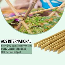 Bamboo Cane Thick Heavy Duty