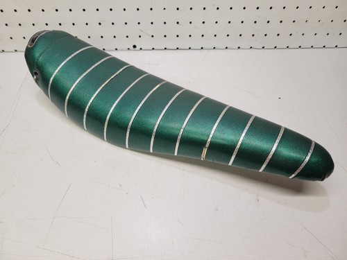 Vintage green glitter schwinn - glitter,
