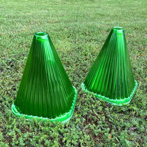 Garden plant cloche seedling - garden,