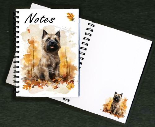Cairn terrier dog - terrier,